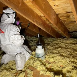SERVPRO of Cudahy/St. Francis - Mold mitigation services from attic space in Cudahy, WI