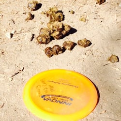 Beware of the hazards!