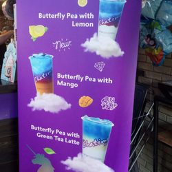 Chatime - Limited Edition Drinks