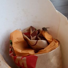 Flies all over the place attitude when called out on bot making order right and garbage all over tables and floor Flies all over the place attitude when called out on bot making order right and garbage all over tables and floor