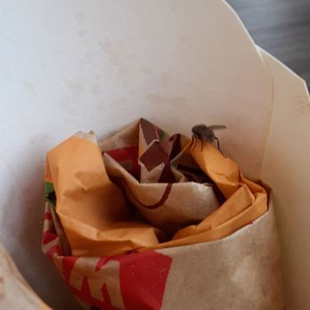 Burger King - Flies all over the place attitude when called out on bot making order right and garbage all over tables and floor - Burgers Near Me - Medina, New York Burger King - Flies all over the place attitude when called out on bot making order right and garbage all over tables and floor - Burgers Near Me - Medina, New York