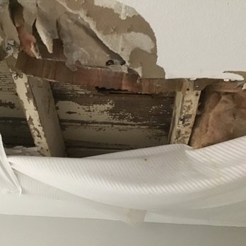 Roofing Solutions of Tampa - My ceiling - Roofing Near Me - Seffner, Florida