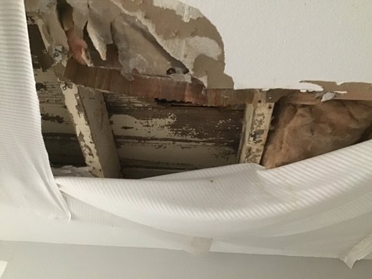 Roofing Solutions of Tampa Logo