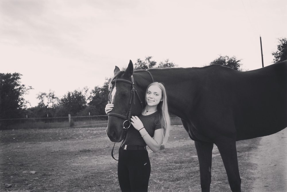 BEE CAVE RIDING CENTER Updated August 2024 16 Photos 15740 Hamilton Pool Rd, Austin, Texas