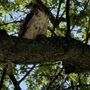 Photo of East Potomac Park