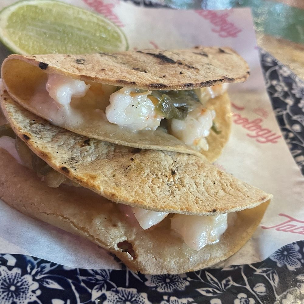 Tacology - Shrimp Taco - Mexican Near Me - Miami, Florida