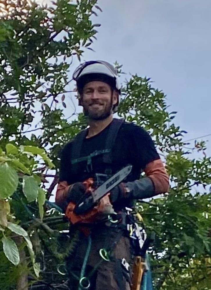Serenitree - tree service in Kailua, HI