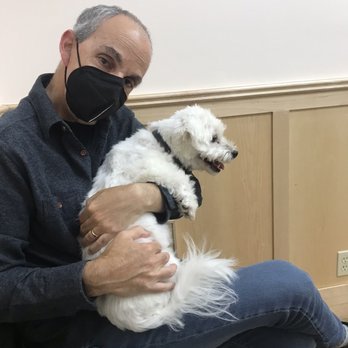 Symphony Veterinary Center - Veterinarians Near Me - New York, New York Symphony Veterinary Center - Veterinarians Near Me - New York, New York