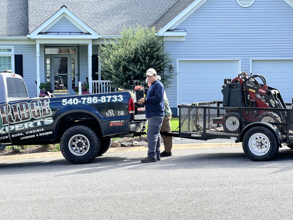 Blue Ridge Tree Man BLUE RIDGE TREE EXPERTS - Updated June 2026 - 210 Photos ...