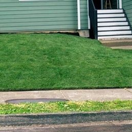 New sod! Looks great!