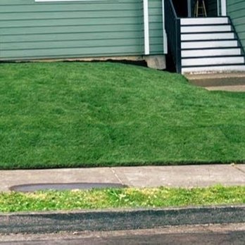 Earthborn Landscape Services - New sod! Looks great! - Landscaping Near Me