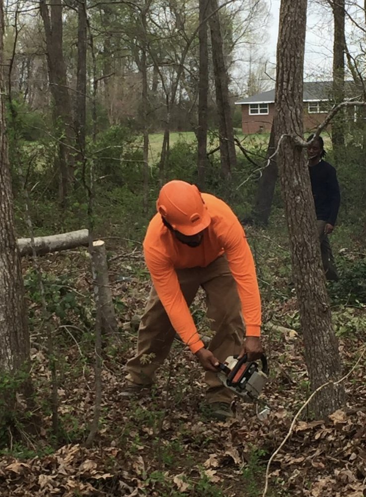 Wiley's Landscaping & Tree Services - tree service in Greensboro, NC