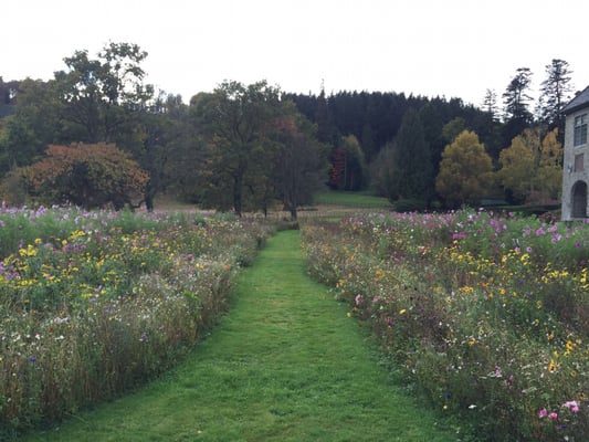 Llangoed Hall Hotel by null