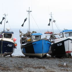 Minnie Moon - Cadgwith fishing boats