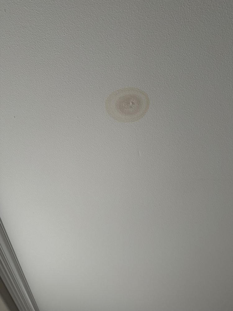 Slide of Danika Plumbing