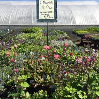 Godfrey Nursery - Again a good price - Nurseries & Gardening Near Me - Aumsville, Oregon Godfrey Nursery - Again a good price - Nurseries & Gardening Near Me - Aumsville, Oregon