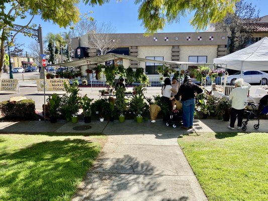 Chula Vista Farmers Market by null