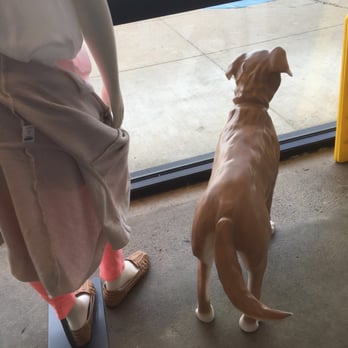 Old Navy - 3/7/16. Monday. And this dog still wants to go out!! Would somebody please, for the love of humanity, let this doggie out?? - Men's Clothing Near Me - Shreveport, Louisiana Old Navy - 3/7/16. Monday. And this dog still wants to go out!! Would somebody please, for the love of humanity, let this doggie out?? - Men's Clothing Near Me - Shreveport, Louisiana