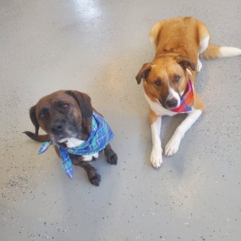 Sienna's Grooming Services and products - spawday packages - Pet Groomers Near Me - Spring Valley, California Sienna's Grooming Services and products - spawday packages - Pet Groomers Near Me - Spring Valley, California
