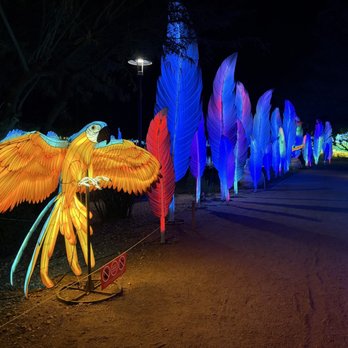 Tianyu Lights Festival - Festivals Near Me - Phoenix, Arizona Tianyu Lights Festival - Festivals Near Me - Phoenix, Arizona