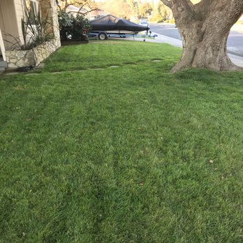 Aeration & Dethatching By Dreamscapes - Lawn Services Near Me