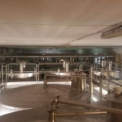 Recchia - Winery tour