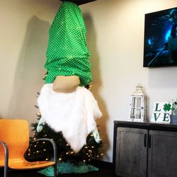 Buckeye Dental Group - They turned their Christmas tree into a gnome. I love it.