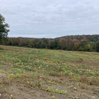 Engelke Farm - Fruits & Veggies Near Me - Troy, New York