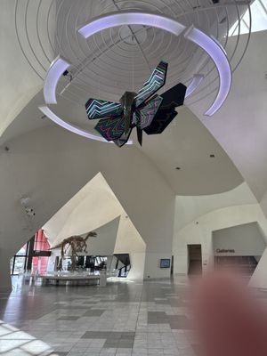 National Museum of Australia by null