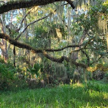Horton House Ruins - Landmarks & Historical Buildings Near Me - Jekyll Island, Georgia