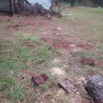 N2deep Stump Grinding and Removal - Tree Services Near Me - Porter, Texas N2deep Stump Grinding and Removal - Tree Services Near Me - Porter, Texas