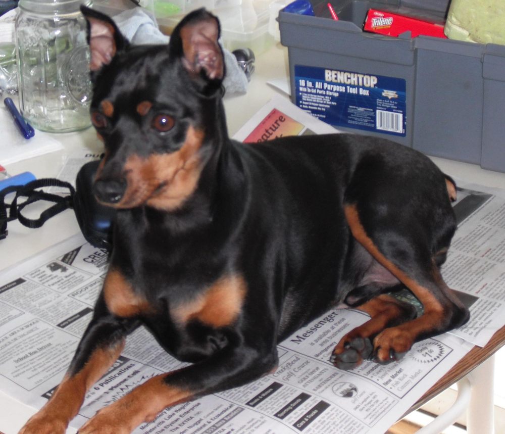 KREUSER VETERINARY CLINIC Updated September 2024 22541 Langford Ave