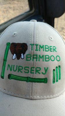 Timber Bamboo Nursery