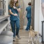 Photo of Northern Hope Veterinary Care
