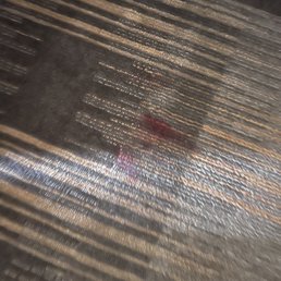 A wonderful bloody floor (this was still wet when we walked in) A wonderful bloody floor (this was still wet when we walked in)