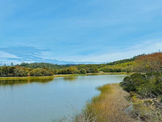 Trione-Annadel State Park by null