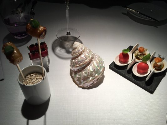 Ammolite - The Lighthouse Restaurant by null