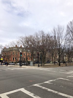 Commonwealth Avenue Mall by null