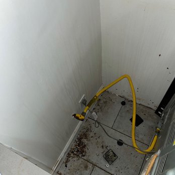 Westside Property Management - Under the sink mouse poop and dead roaches. I had to clean this, it was so disgusting. - Property Management Near Me - Santa Monica, California Westside Property Management - Under the sink mouse poop and dead roaches. I had to clean this, it was so disgusting. - Property Management Near Me - Santa Monica, California