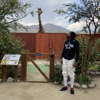 Wildlife Learning Center - Zoos Near Me - Sylmar, California Wildlife Learning Center - Zoos Near Me - Sylmar, California