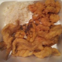 Kannu's Restaurant - A pescatarian meal: fish, shrimp, and rice