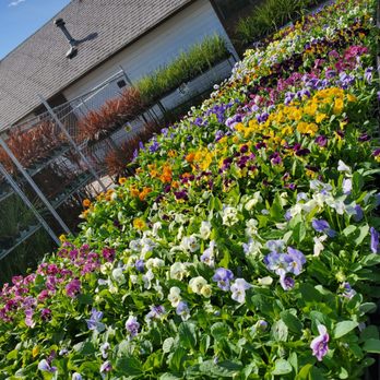 Carpinito Brothers - Nurseries & Gardening Near Me - Kent, Washington