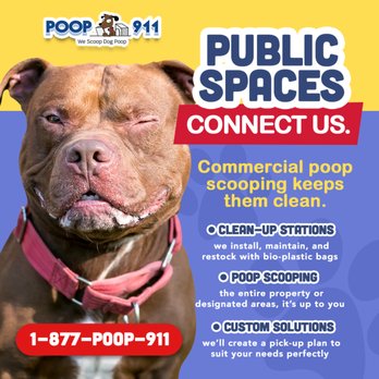 Poop 911 - Pet Waste Removal Near Me Poop 911 - Pet Waste Removal Near Me