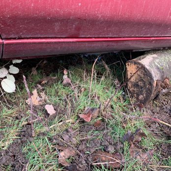 Sonic Collision Center - Car came to a stop on top of a log that was in the green space car spun into - Body Shops Near Me - SeaTac, Washington Sonic Collision Center - Car came to a stop on top of a log that was in the green space car spun into - Body Shops Near Me - SeaTac, Washington