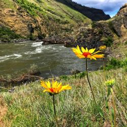 Barker River Trips