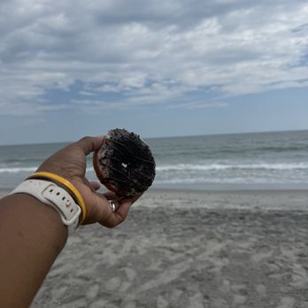 Duck Donuts - Cookies & Cream - Donuts Near Me - North Myrtle Beach, South Carolina Duck Donuts - Cookies & Cream - Donuts Near Me - North Myrtle Beach, South Carolina