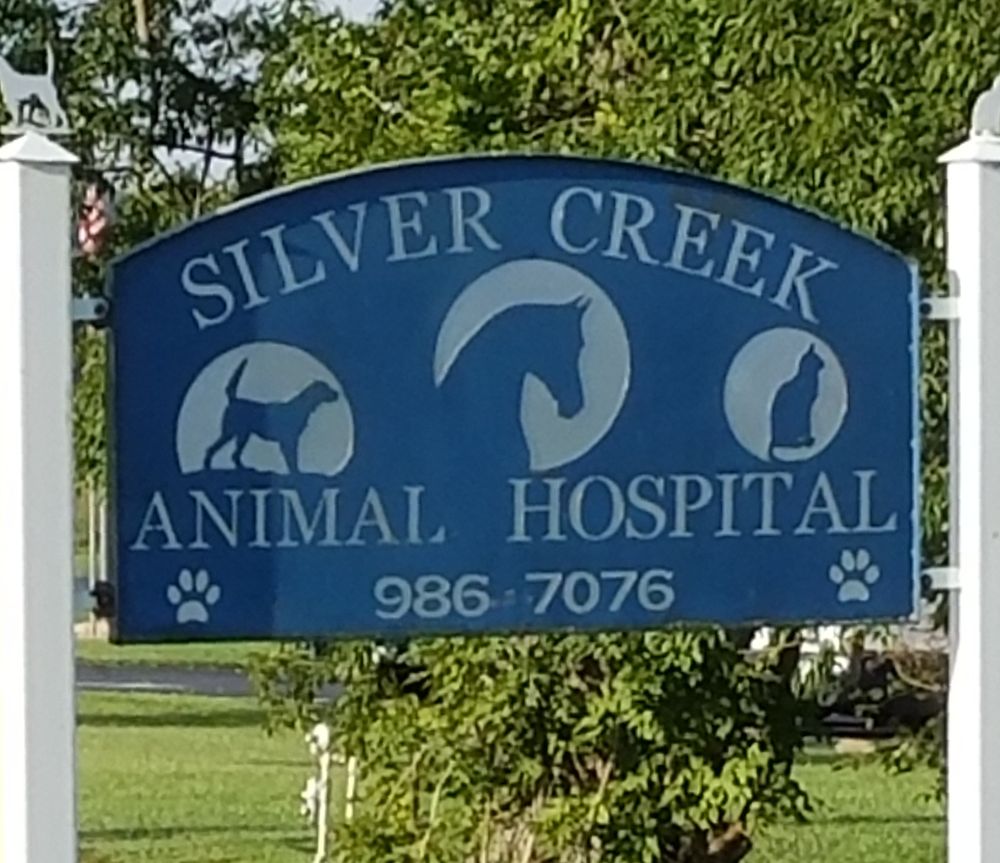 SILVER CREEK ANIMAL HOSPITAL 14 Reviews 1053 Richmond Rd N, Berea