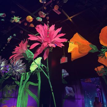 AREA15 - Art - Venues & Event Spaces Near Me - Las Vegas, Nevada