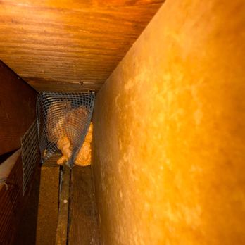 Attic Repair Guys - Insulation Installation Near Me - Fremont, California Attic Repair Guys - Insulation Installation Near Me - Fremont, California