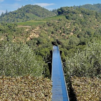 Promontory - Wineries Near Me - Oakville, California Promontory - Wineries Near Me - Oakville, California